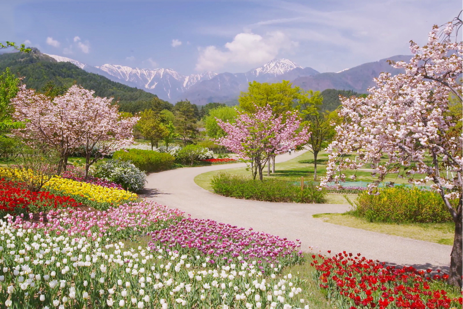 True-Out-of-Body-Experience-Pushed-Out-of-Heaven